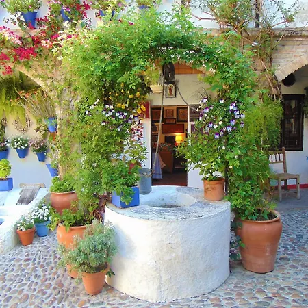 La Pimentera 3* Cordoba